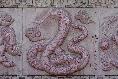 《星河舰队：灭绝》现已正式发售 新增单人教程模式