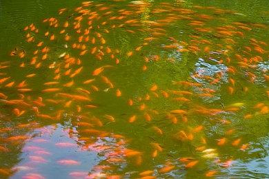 《足球经理25》宣布取消开发 开发商将专注开发新作