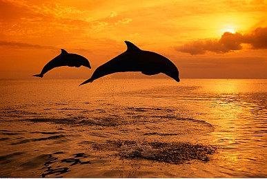 维塔士员工资料显示 《上古卷轴4》虚幻5重制版开发中